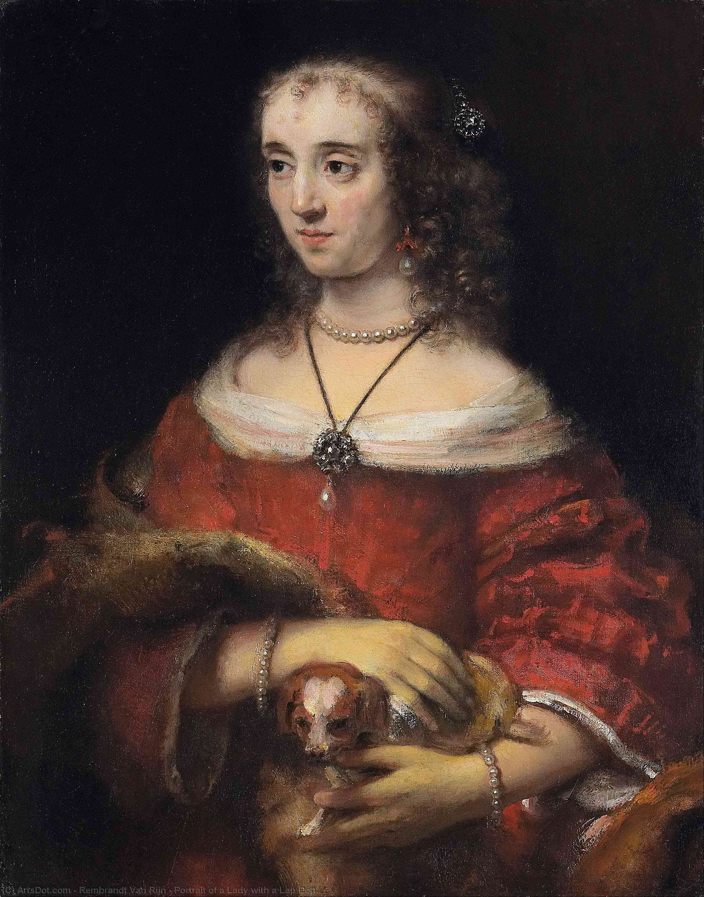Portrait Of A Lady With A Lap Dog — Rembrandt Van Rijn