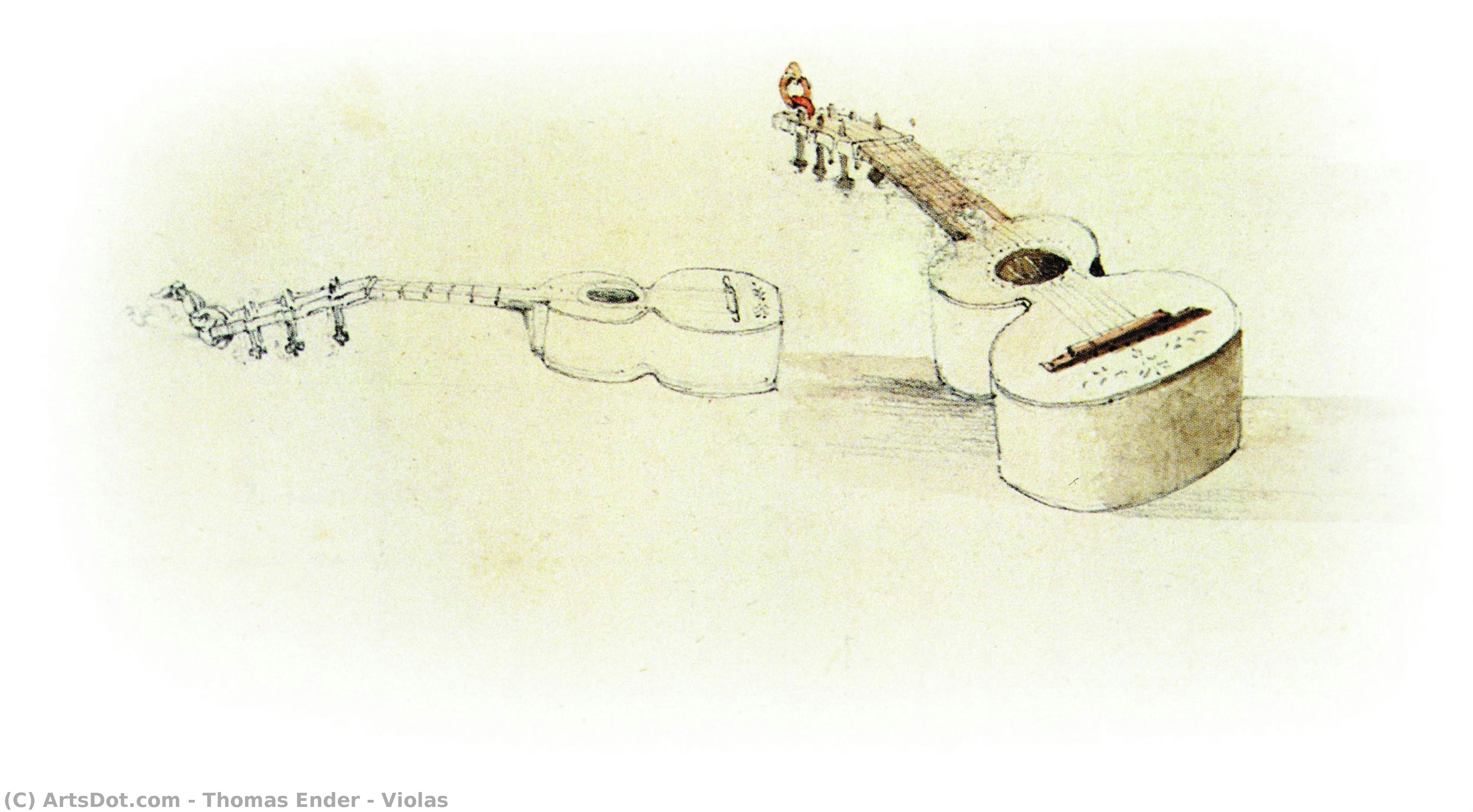 Violas — Thomas Ender