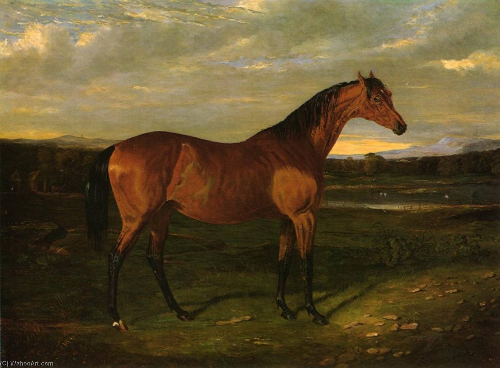 Manuella — John Frederick Herring Senior