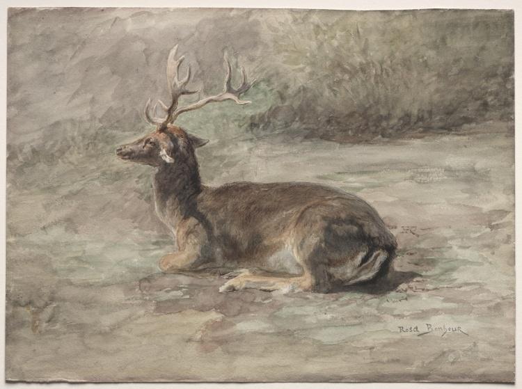 Recumbent Stag — Rosa Bonheur