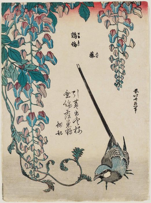 Wisteria And Wagtail — Katsushika Hokusai