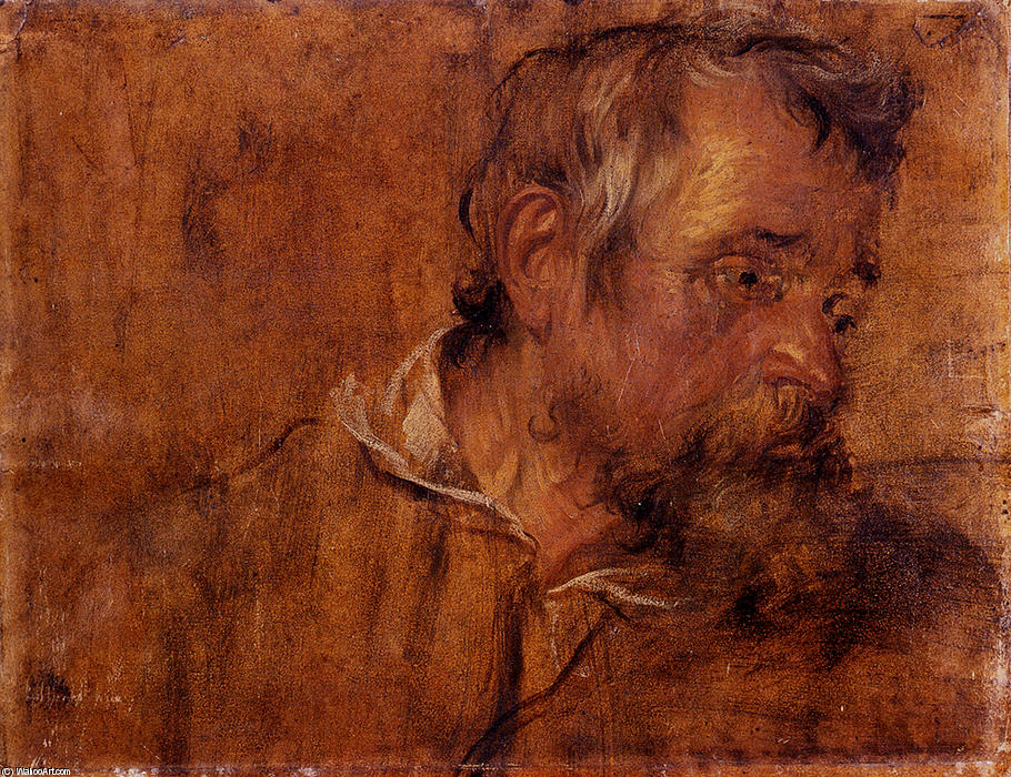 Profile Study Of A Bearded Old Man — Sir Anthony Van Dyck
