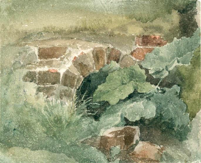 Study Of Foliage — David Cox