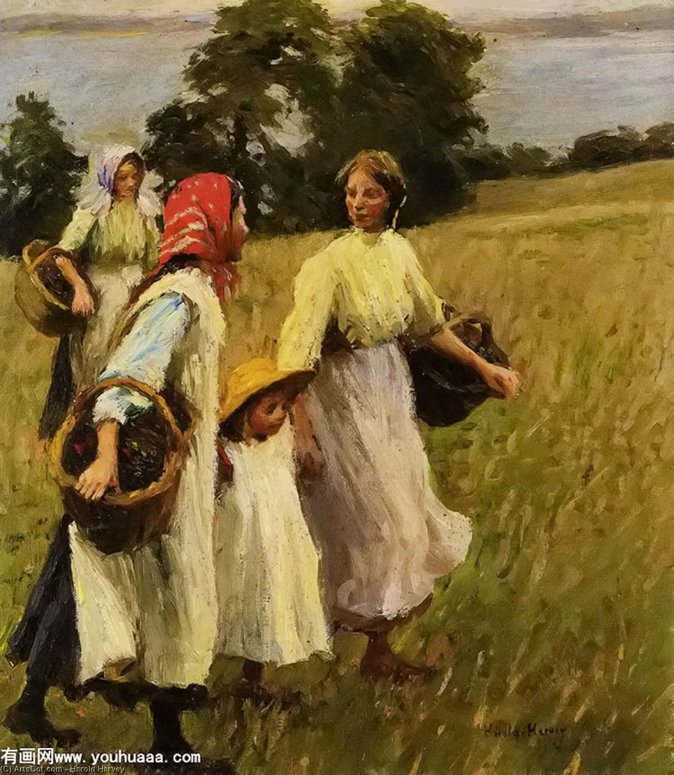 The Blackberry Harvest — Харолд Харви