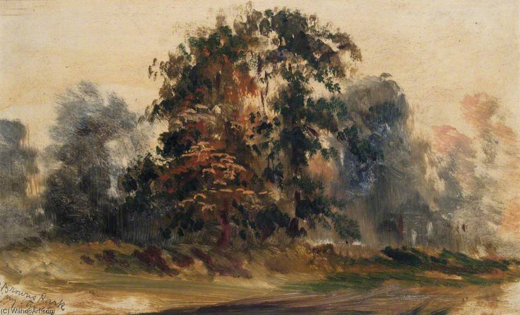 Mrs Brown's Park From My Studio, Oval Road, Croydon, Surrey — Walter William Acock
