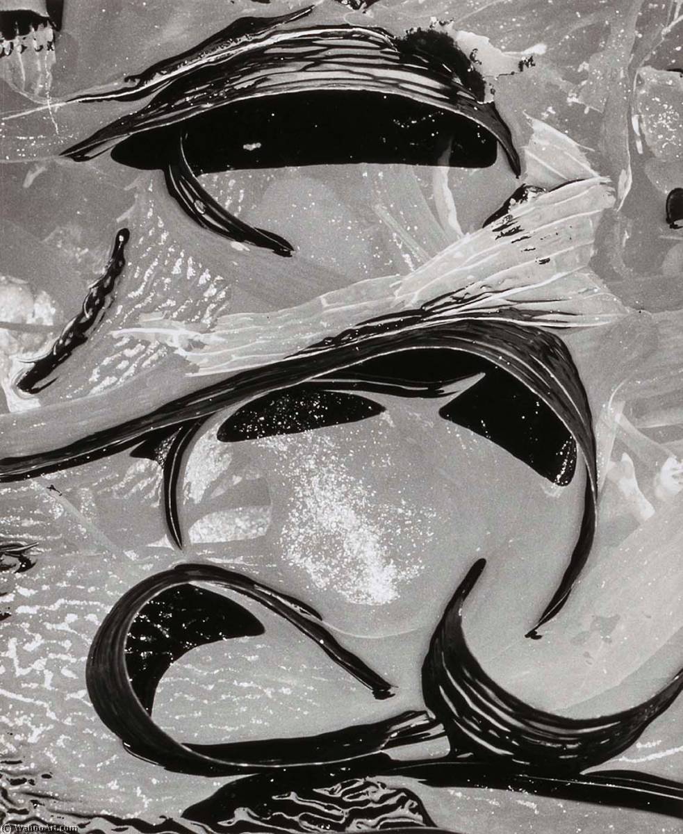 Tide Pool — Brett Weston