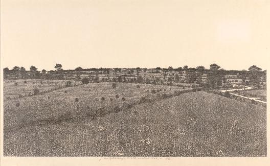 Field — Jacques Hnizdovsky