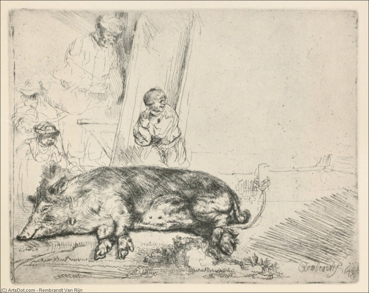 The Hog — Rembrandt Van Rijn