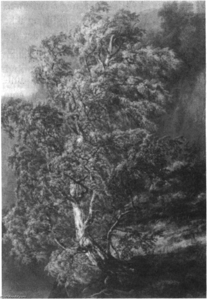Birk I Storm — Johan Christian Claussen Dahl