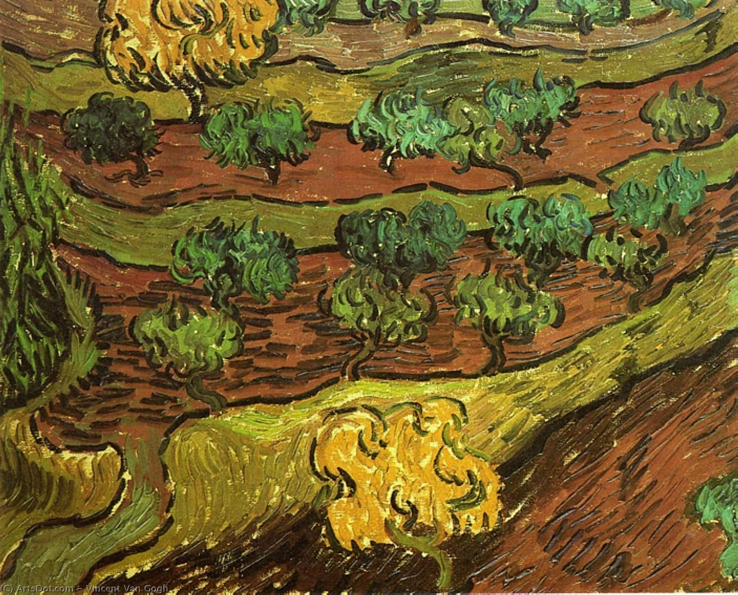 Olive Trees Against A Slope Of A Hill — Vincent Willem Van Gogh
