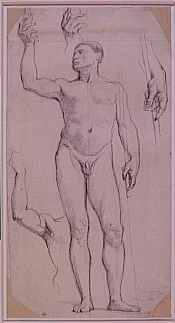 Study Naked For St. Remy — Jean-auguste-dominique Ingres