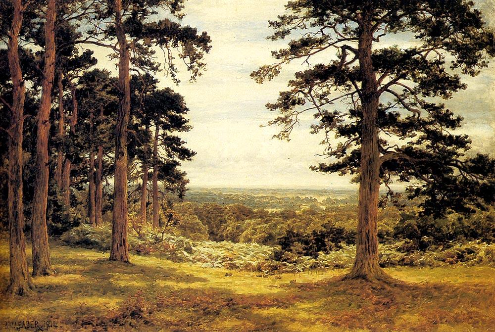 A Peep Through The Pines — R.a Benjamin Williams Leader