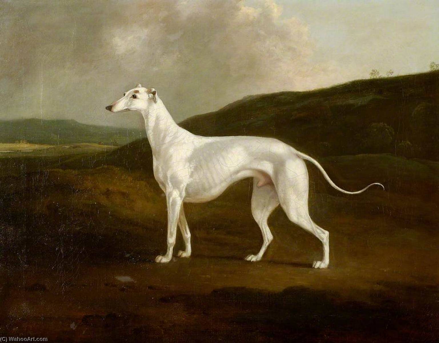 A Greyhound In A Landscape — Charles Henry Schwanfelder