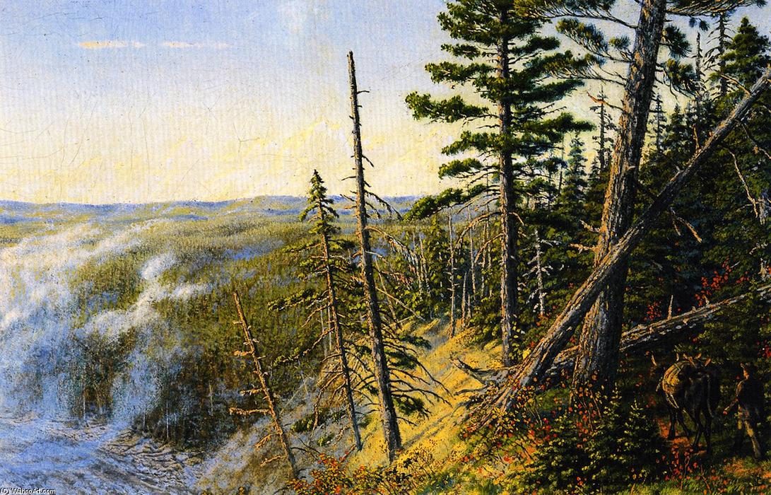 Pack Ox In The Mountains — William George Richardson Hind