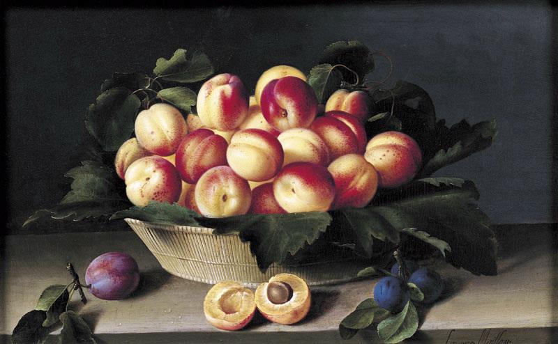 Nature Morte Aux Abricots Fruits — Louise Moillon