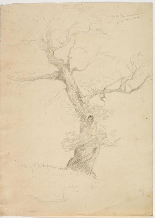 Borghese Grounds, Rome — Thomas Cole