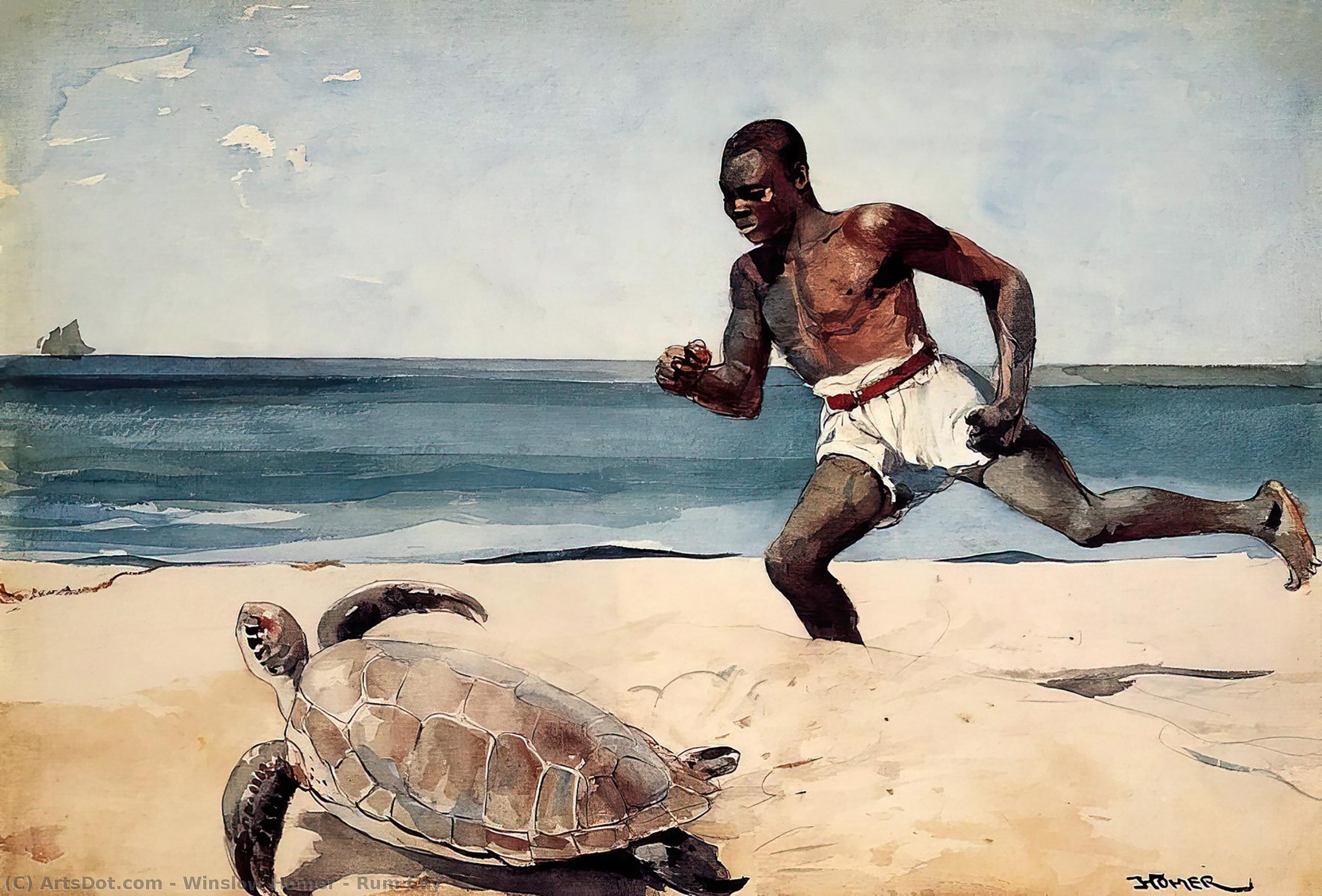 Rum Cay — Winslow Homer