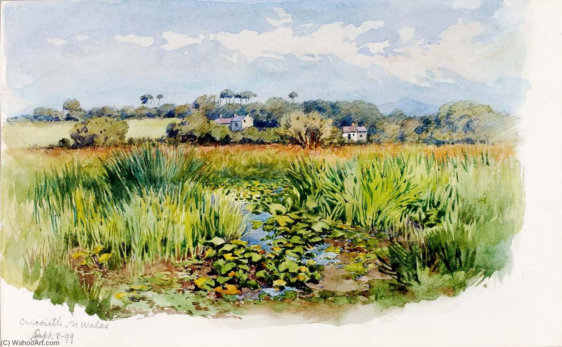Criccieth, N Wales — George Elbert Burr