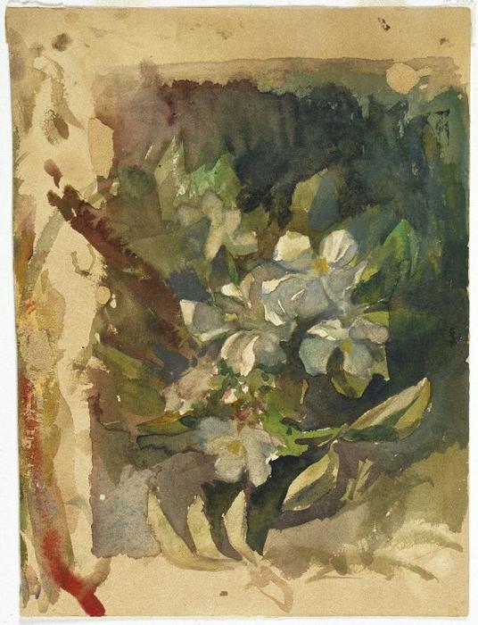 Apple Blossoms In Sunlight — John La Farge