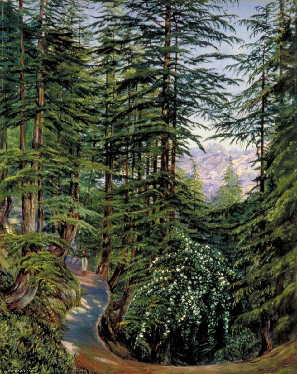 Deodar Grove At Simla With Wild Rose In The Foreground — Marianne North