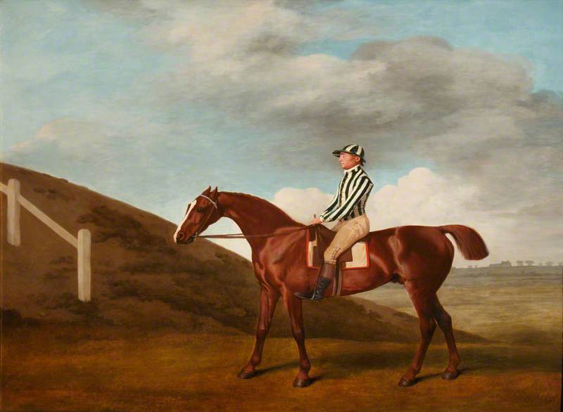 'pumpkin' — George Stubbs
