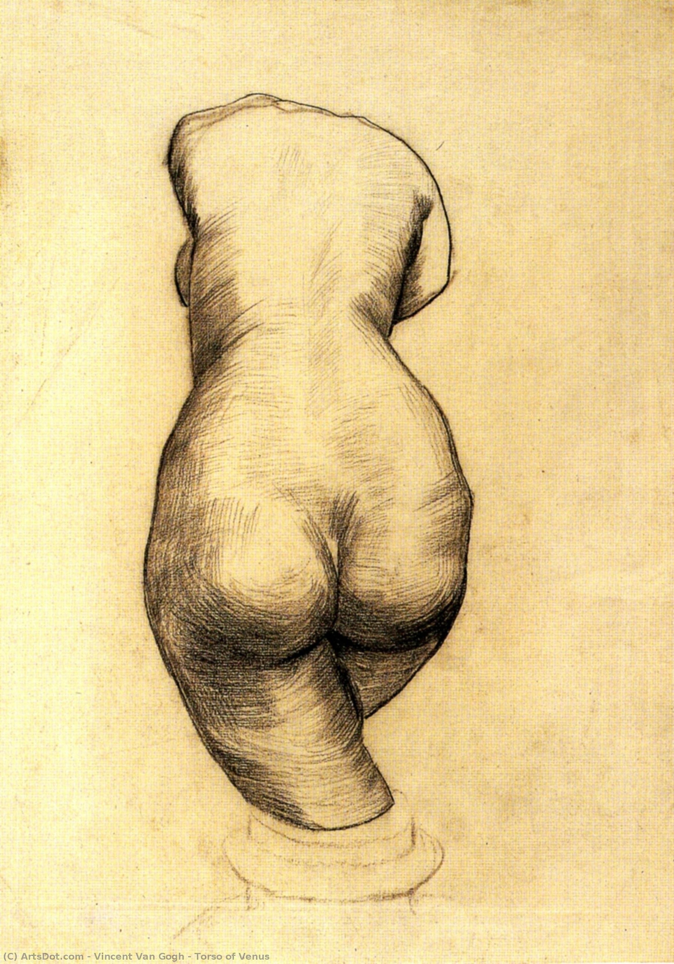 Torso Of Venus — Vincent Willem Van Gogh