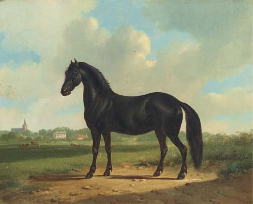 albertus verhoesen