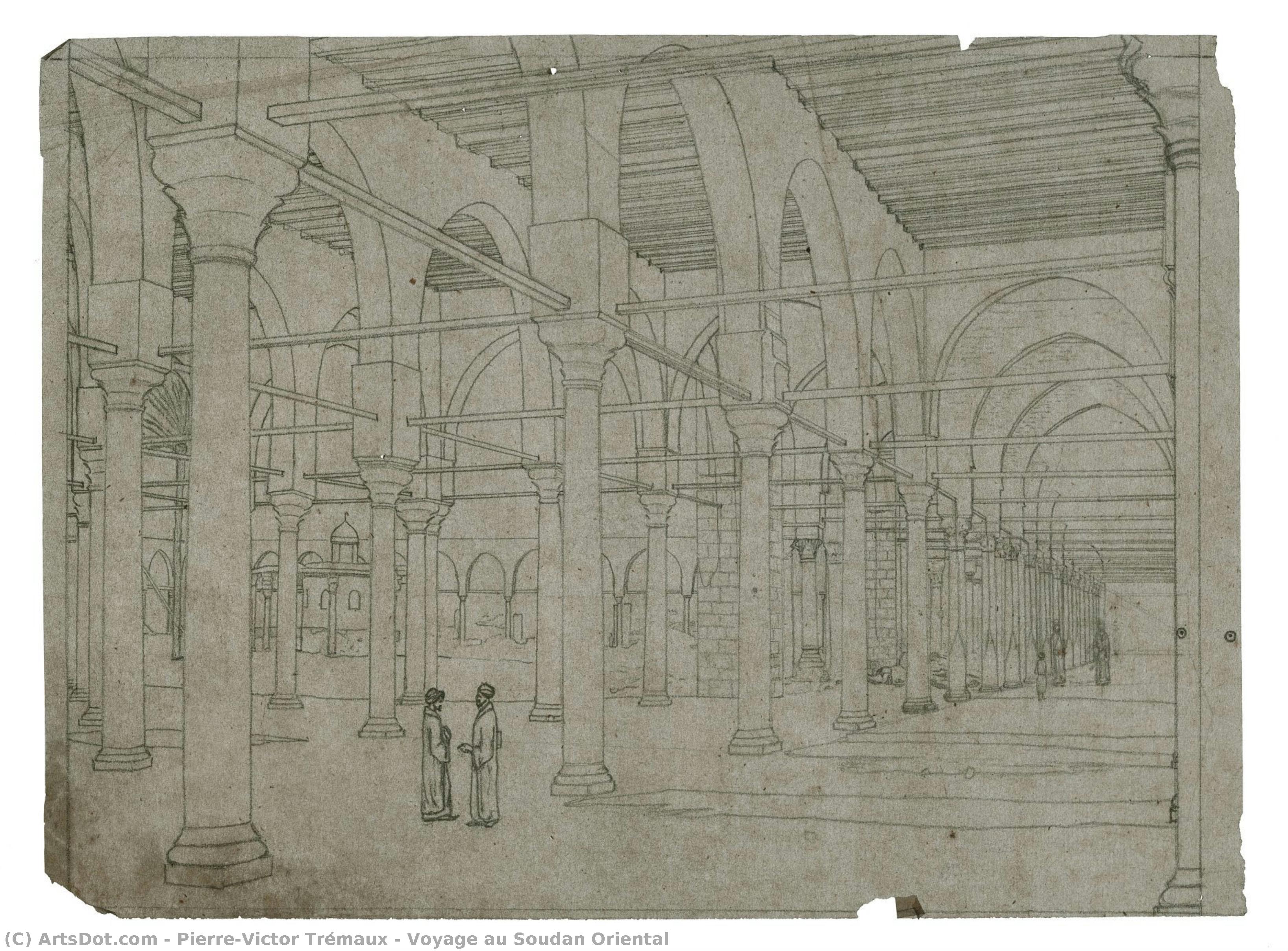 Voyage Au Soudan Oriental — Pierre-victor Trémaux