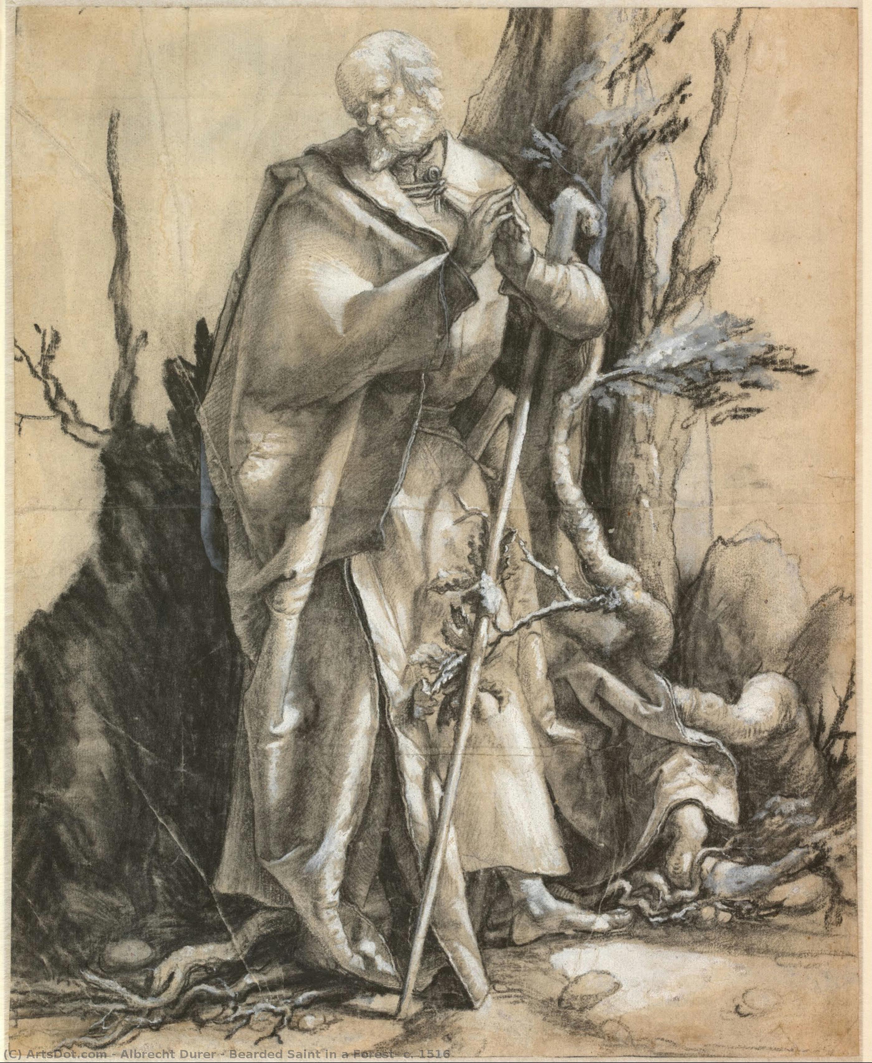 Bearded Saint In A Forest, C. 1516 — Albrecht Dürer