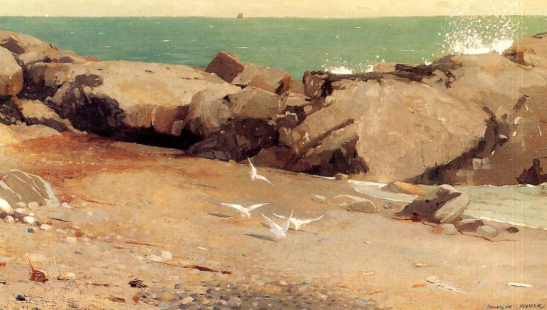 Rocky Coast And Gulls — Winslow Homer