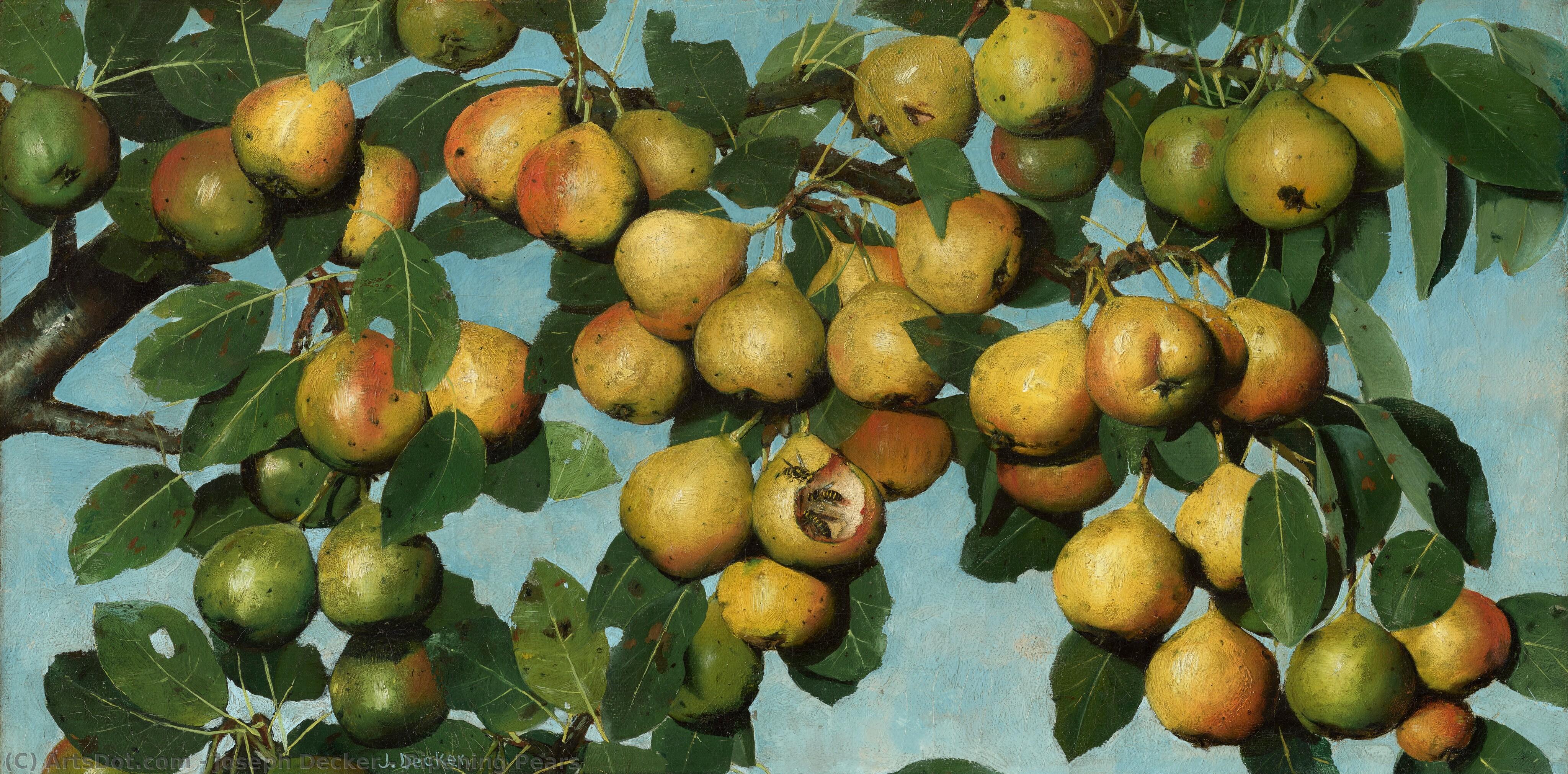 Ripening Pears — Joseph Decker