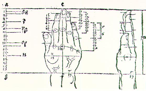 Hand — Albrecht Dürer