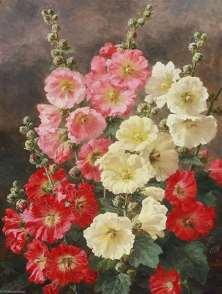Mallows — Anthonore Christensen