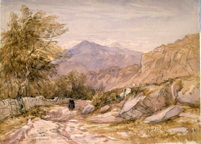 A Welsh Mountain Road — David Cox
