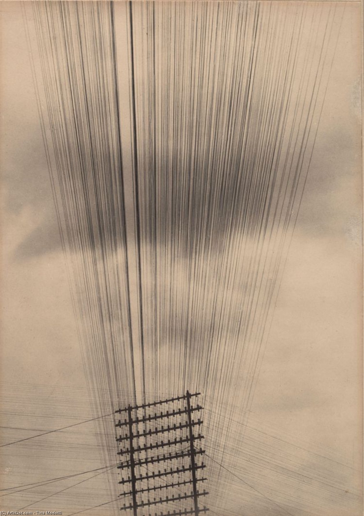 Telegraph Wires — Tina Modotti