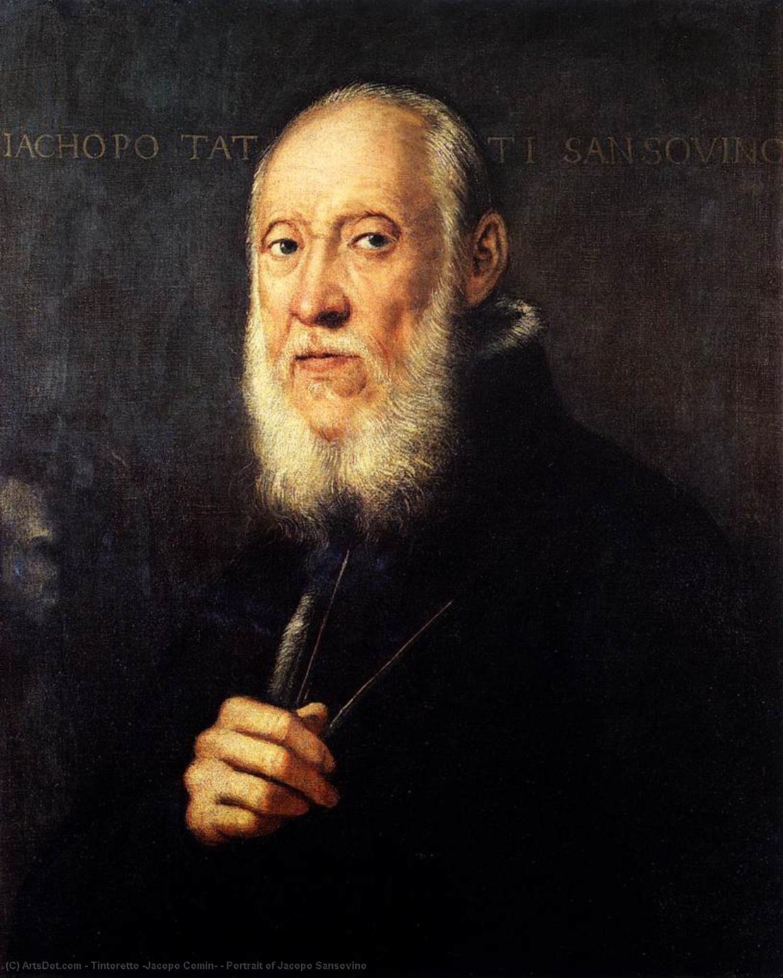 Portrait Of Jacopo Sansovino — Jacopo Tintoretto