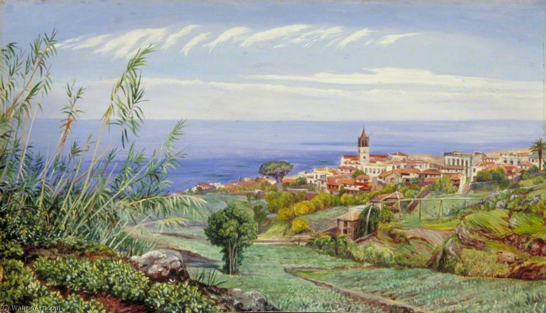 View Of Icod, Teneriffe — Marianne North