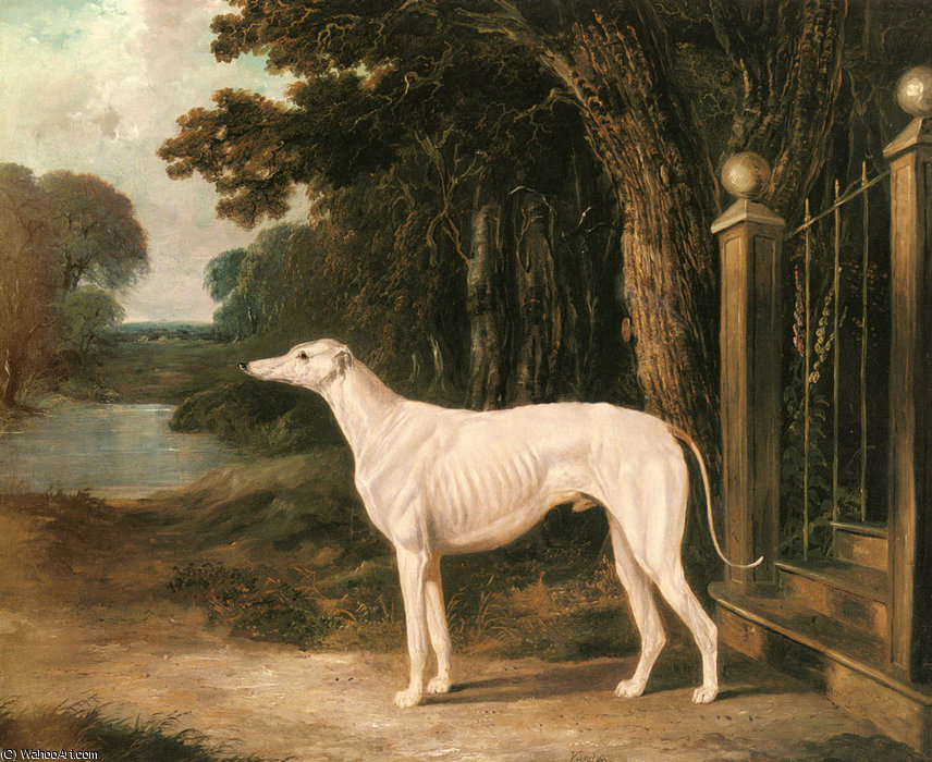 Vandeau A White Greyhound — John Frederick Herring Senior