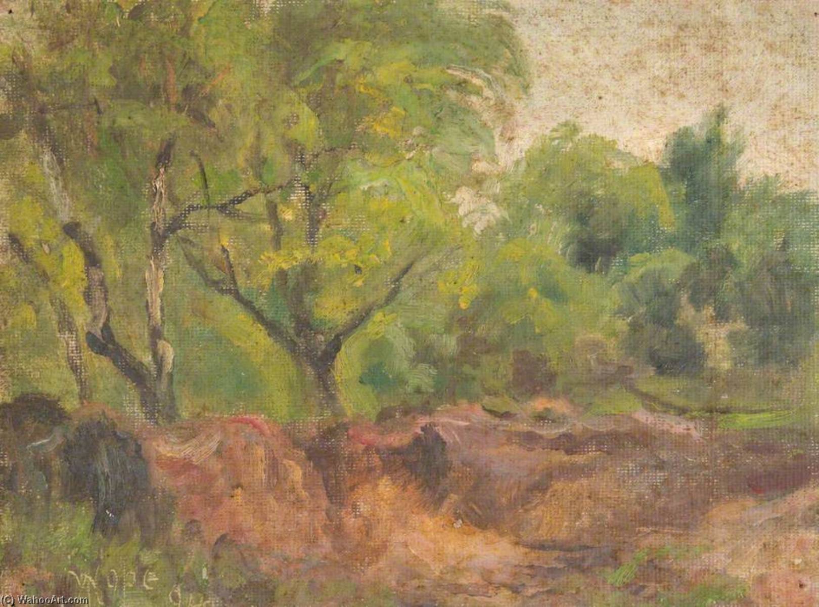 At The Foot Of Addington Hills, Croydon, Surrey — William Henry Hope