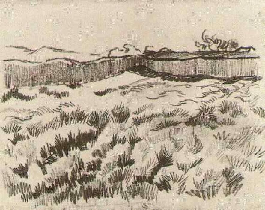 Enclosed Field — Vincent Willem Van Gogh