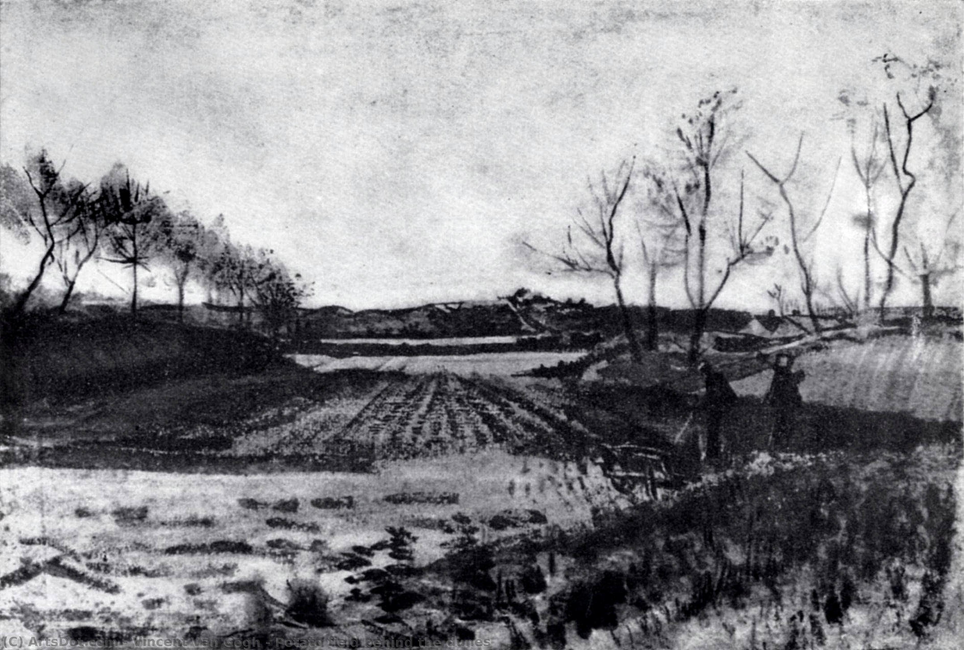Potato Field Behind The Dunes — Vincent Willem Van Gogh