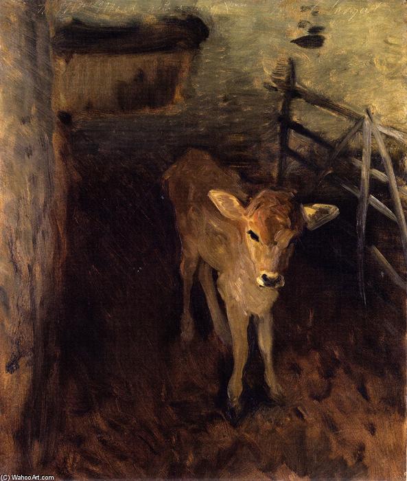 A Jersey Calf — John Singer Sargent