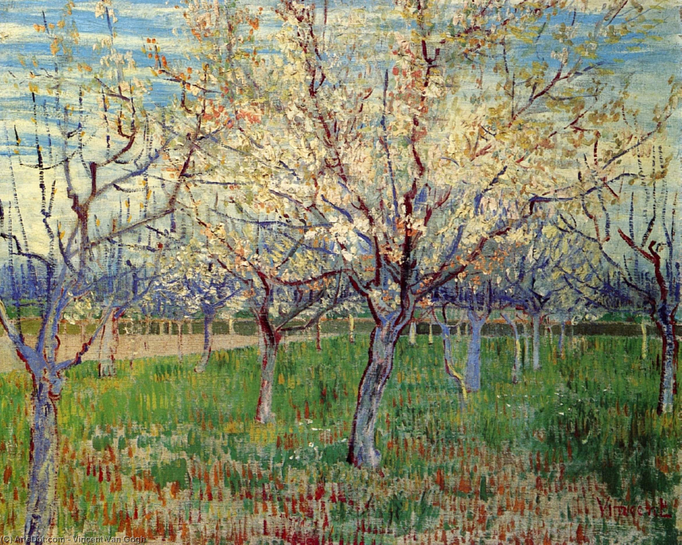 Orchard With Blossoming Apricot Trees — Vincent Willem Van Gogh