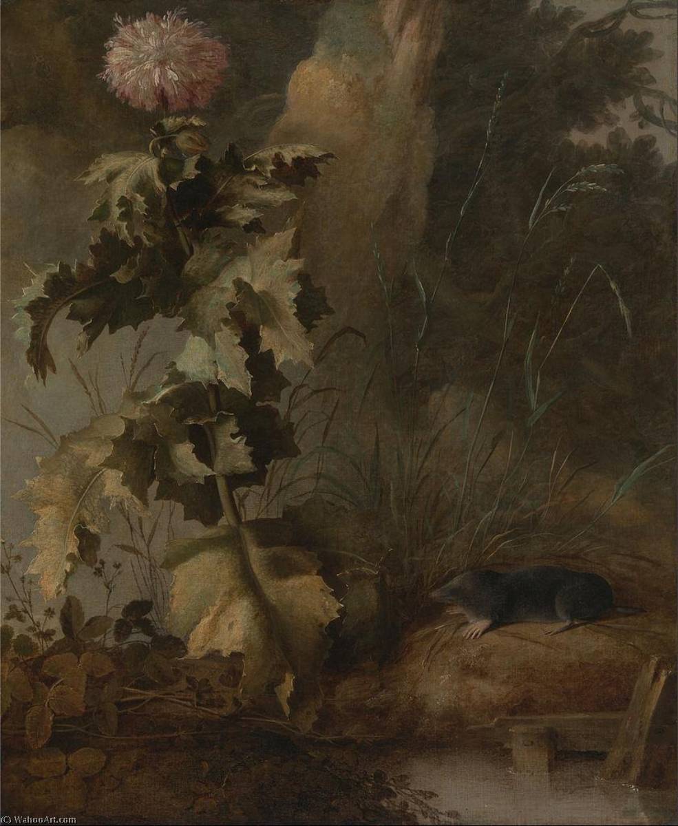 An Egyptian Poppy And A Water Mole — John Crome