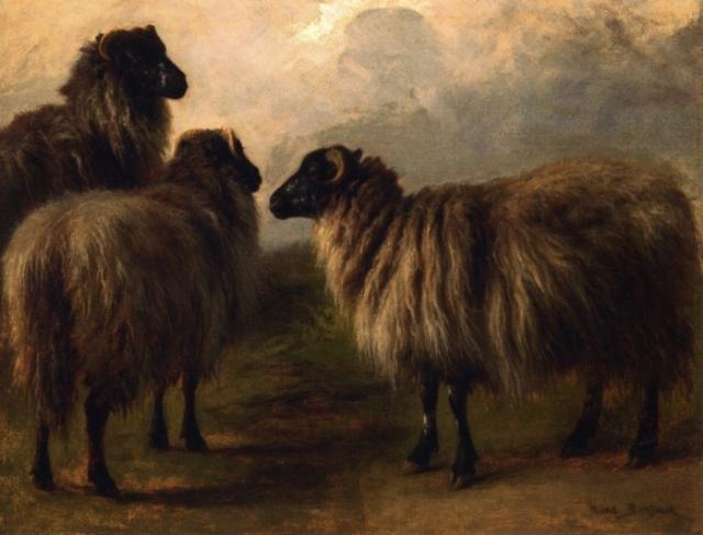 Three Wooly Sheep — Rosa Bonheur
