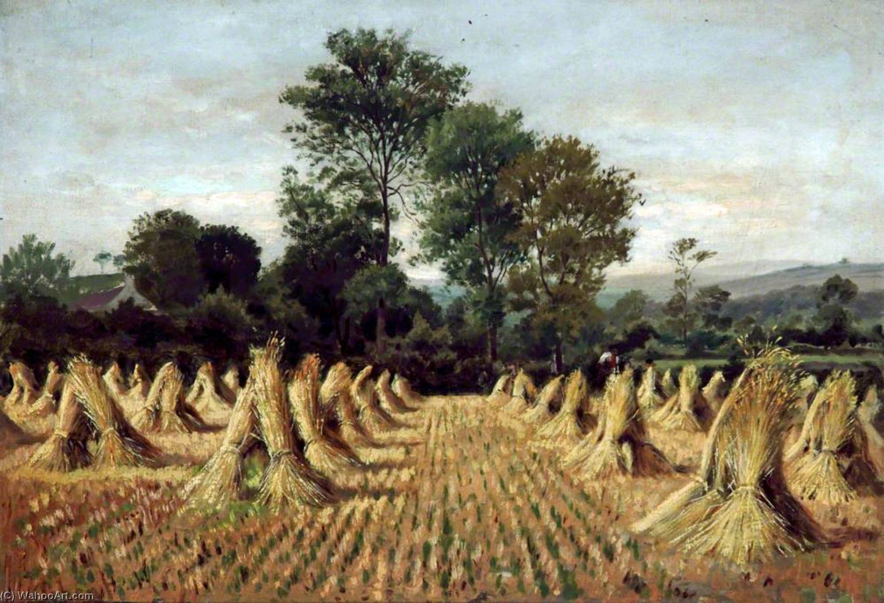 Cornfield At Bidston, Wirral — Peter Ghent