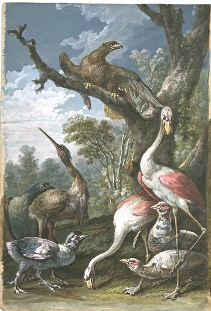 Echassiers, Perdrix, Aigle Dans Un Paysage Boisé — Jean-baptiste Oudry