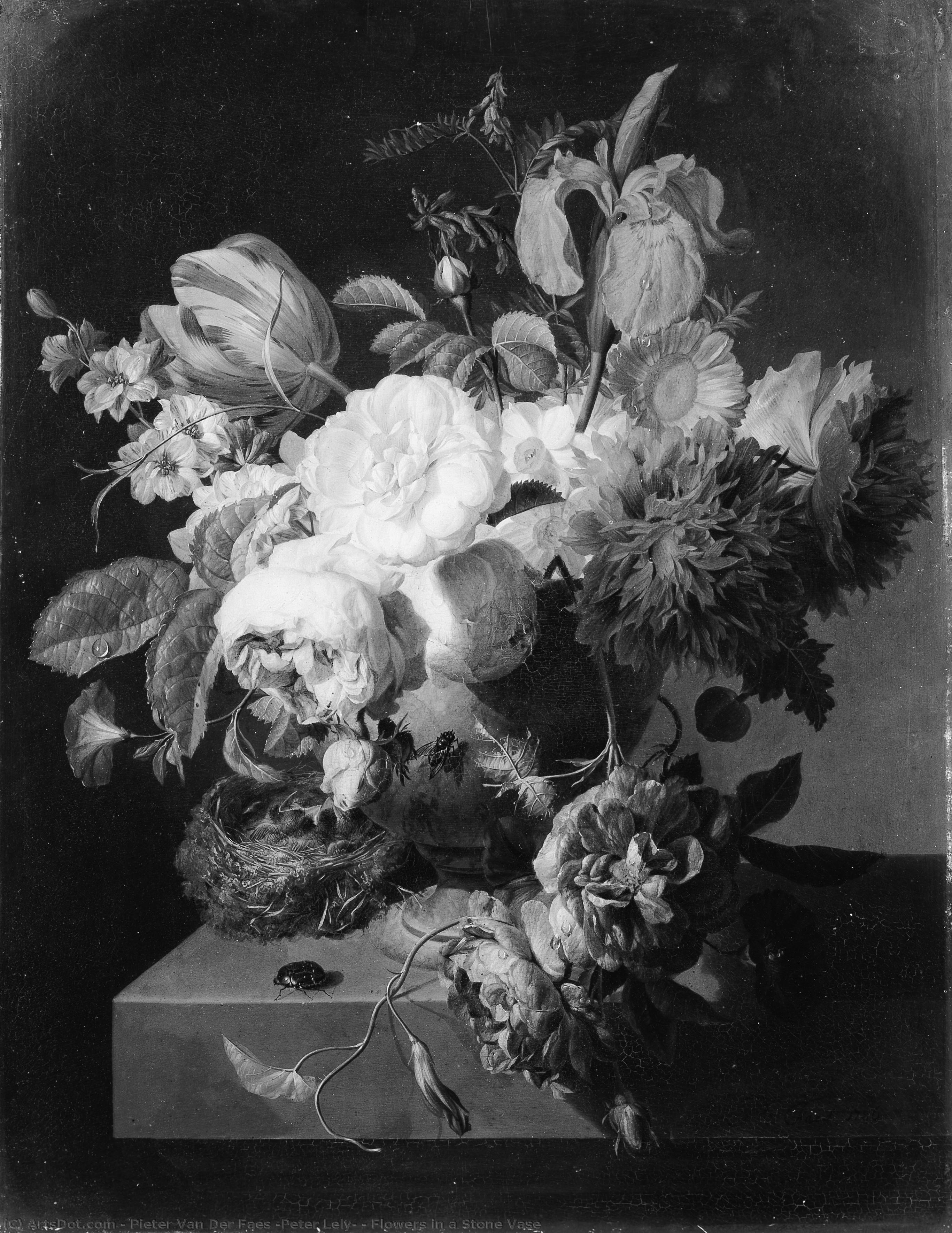 Flowers In A Stone Vase — Pieter Van Der Faes (peter Lely)