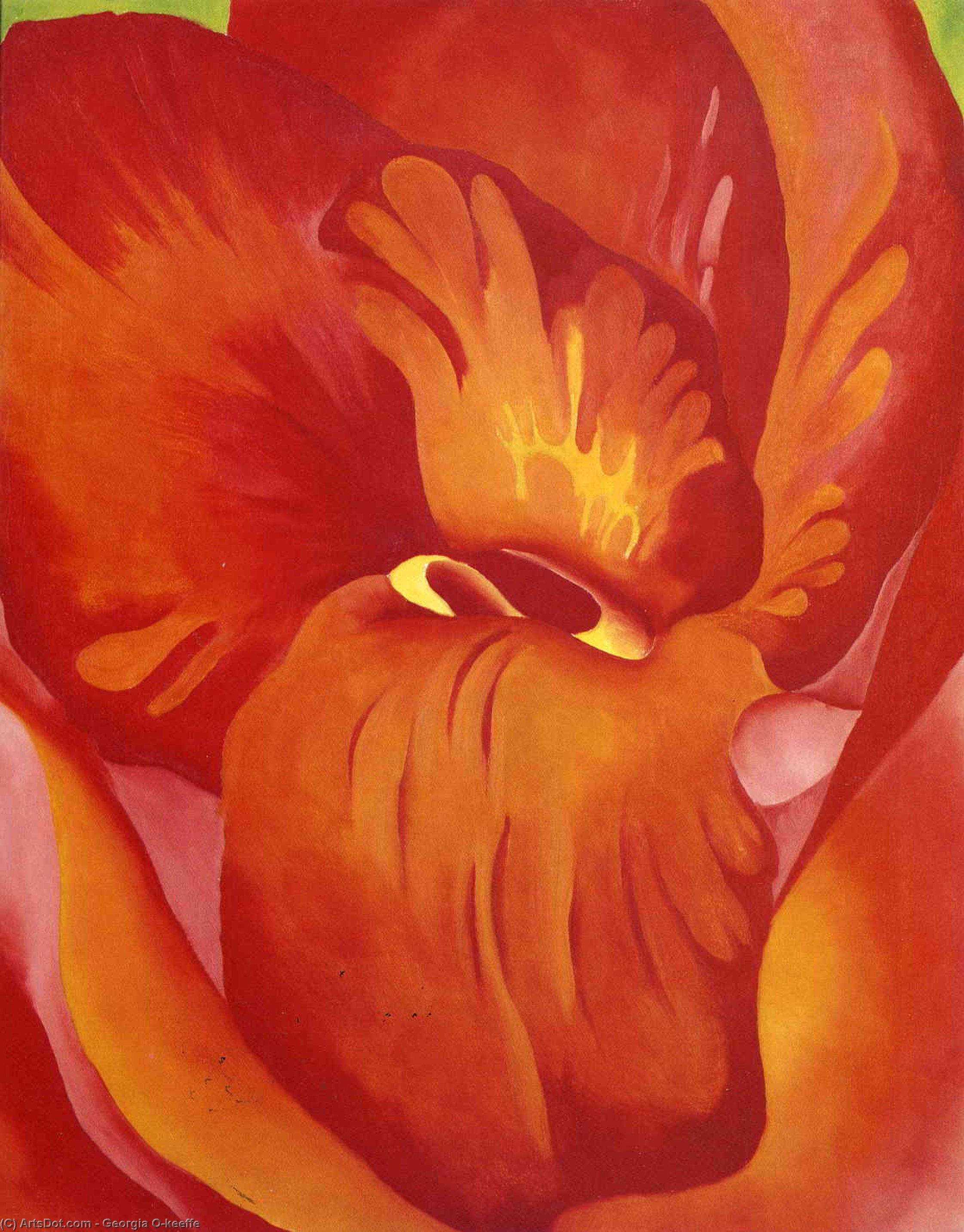 Canna Red And Orange — Georgia O'keeffe