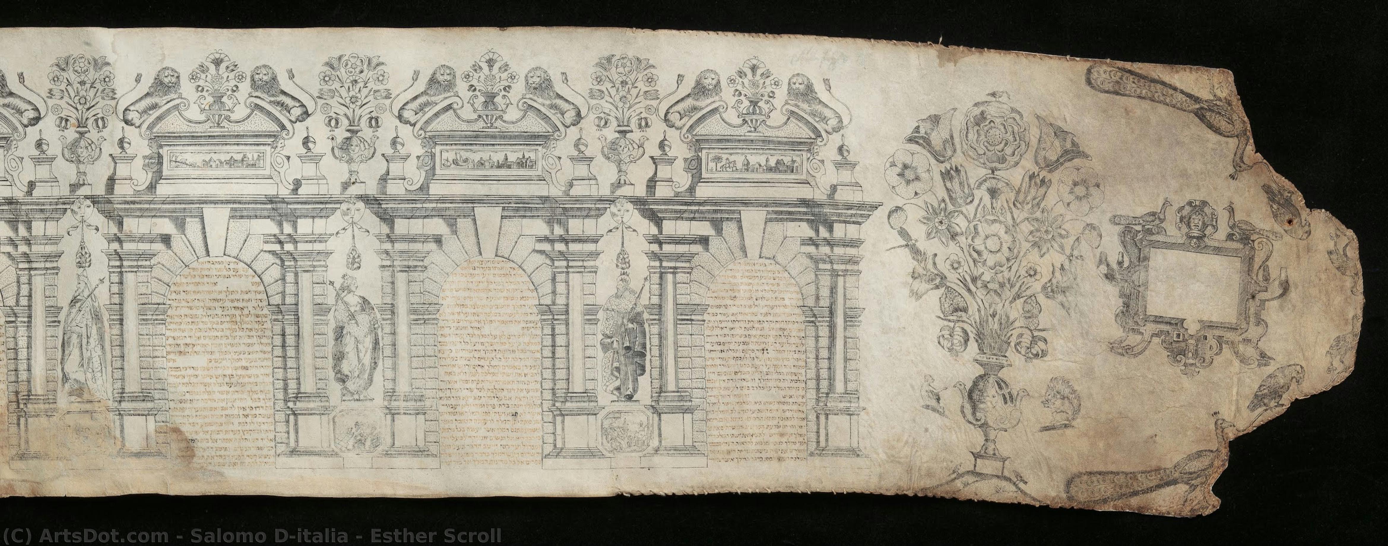 Esther Scroll — Salomo D'italia